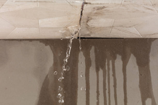 Professional Sewage Cleanup technician working in Needham, IN